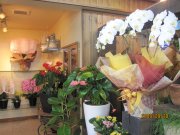 「ガーデンショップきこうえん」　（北海道函館市）の花屋店舗写真3